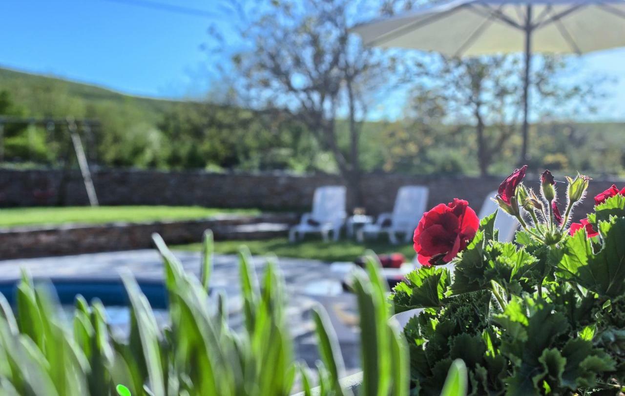 בית הארחה Biorine 	Dalmatia Stone House - Heated Pool מראה חיצוני תמונה